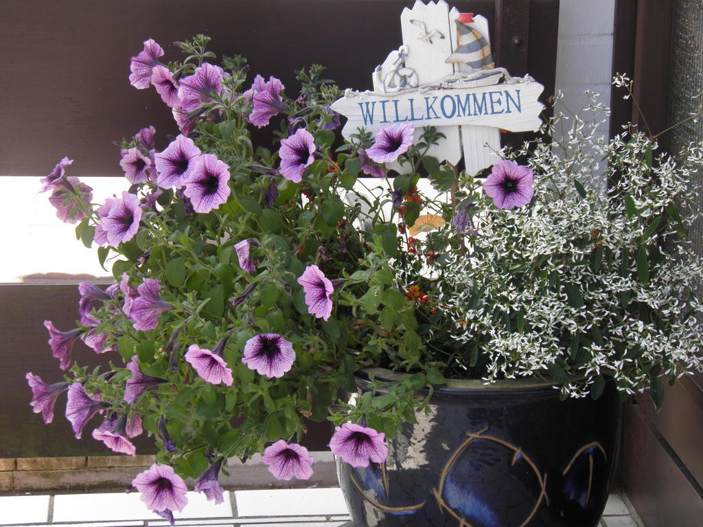 Appartement Kanew Petersdorf auf Fehmarn 部屋 写真